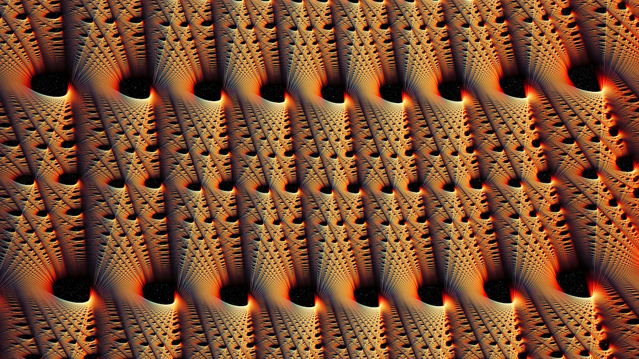 Black Hole Multiverse